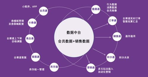 紫日軟件導(dǎo)購(gòu)?fù)?.0 直連消費(fèi)者，驅(qū)動(dòng)銷量暴漲的智能銷售解決方案